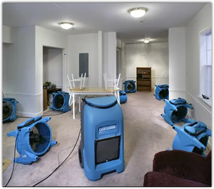 Commercial Water Damage Restoration in Westchase, FL