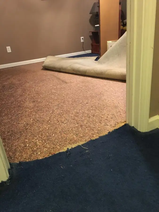 Carpet pad removal revealing water damage during Drying & Dehumidification in Westchase