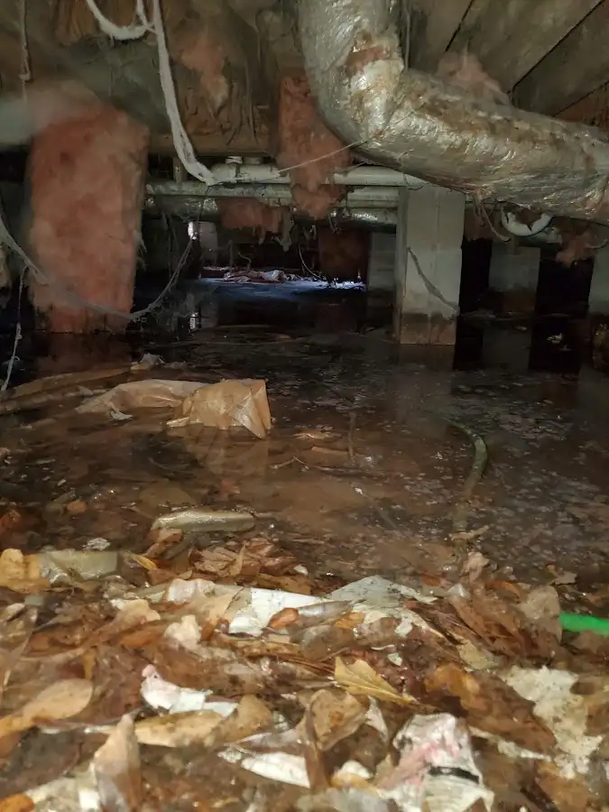 Crawl space flood assessment for Commercial Water Damage Restoration in Westchase