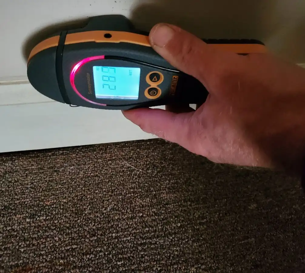 Moisture detection at baseboard during Burst Pipe Cleanup in Westchase